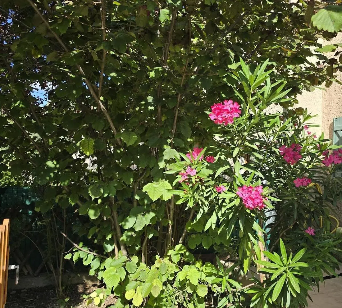 3 Bedroom House Terrace Park & Free Parking Aix-en-Provence 0*,  Francia